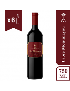 Combo Fabre Montmayou...